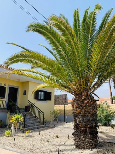 Vivienda Vacacional Tinizara Arona  Dış mekan fotoğraf