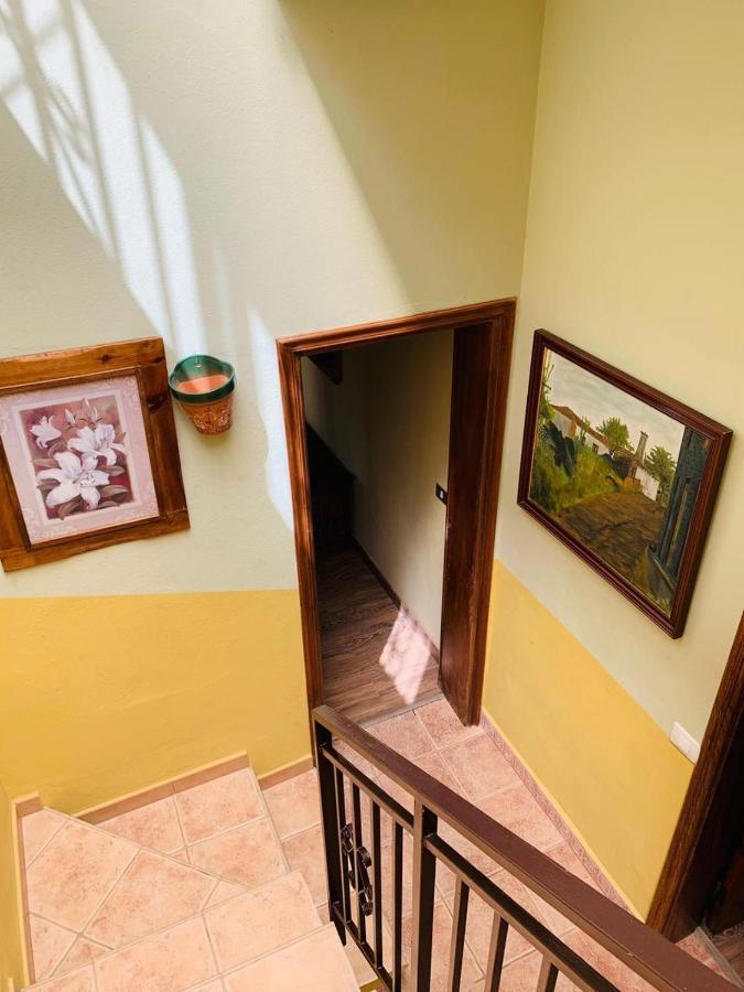 Vivienda Vacacional Tinizara Arona  Dış mekan fotoğraf